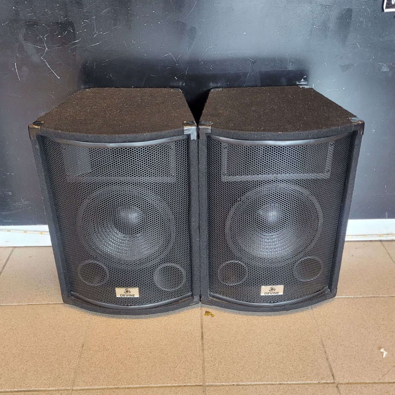 Devine Studio Monitor 2 Stuks - In Nette Staat