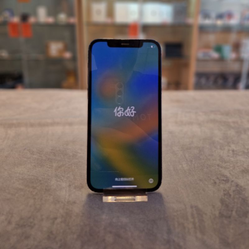 Apple iPhone 12 64GB iOS 18 - In Nette Staat