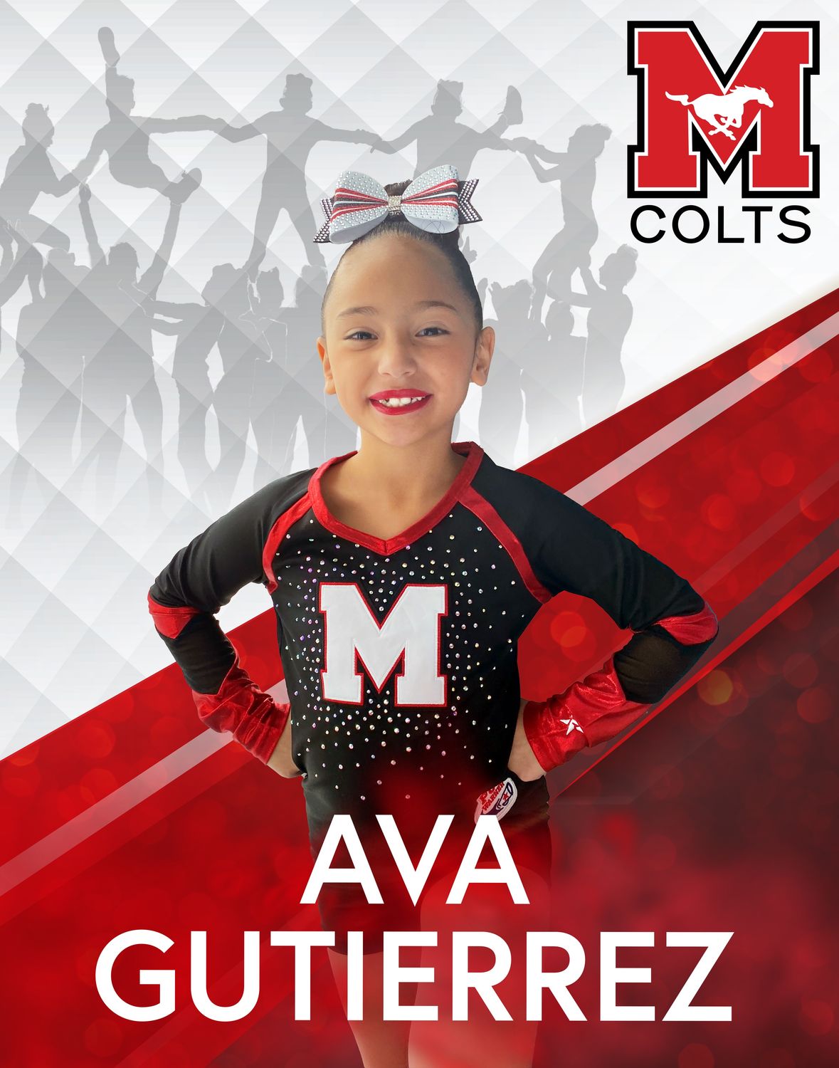 Munster Cheer Banner 28x22