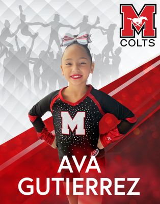 Munster Cheer Banner 28x22