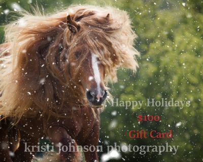 Christmas Gift Card
