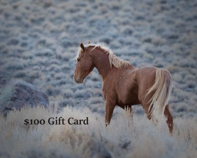 $100 Gift Card