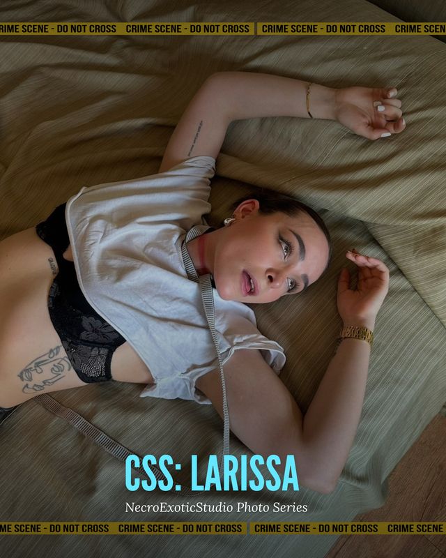 CSS: Larissa