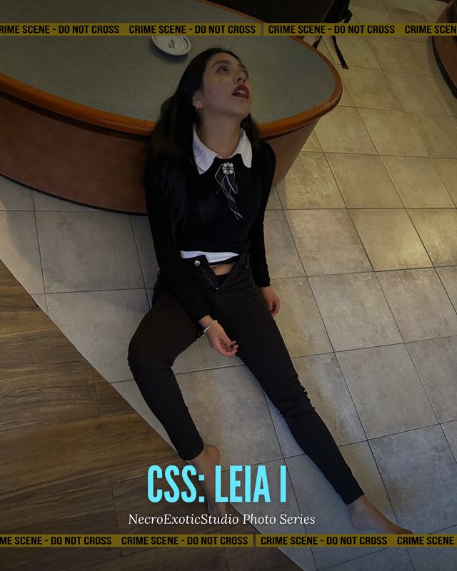 CSS: Leia 1
