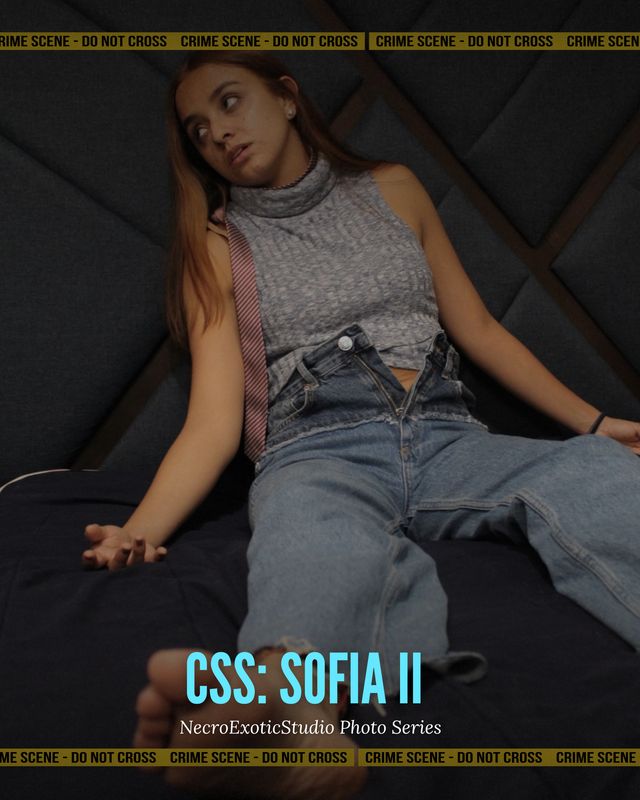 CSS: Sofia 2