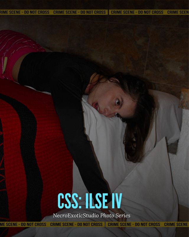 CSS: Ilse 4