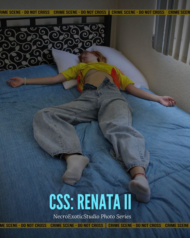 CSS: Renata 2 (WorldCup)