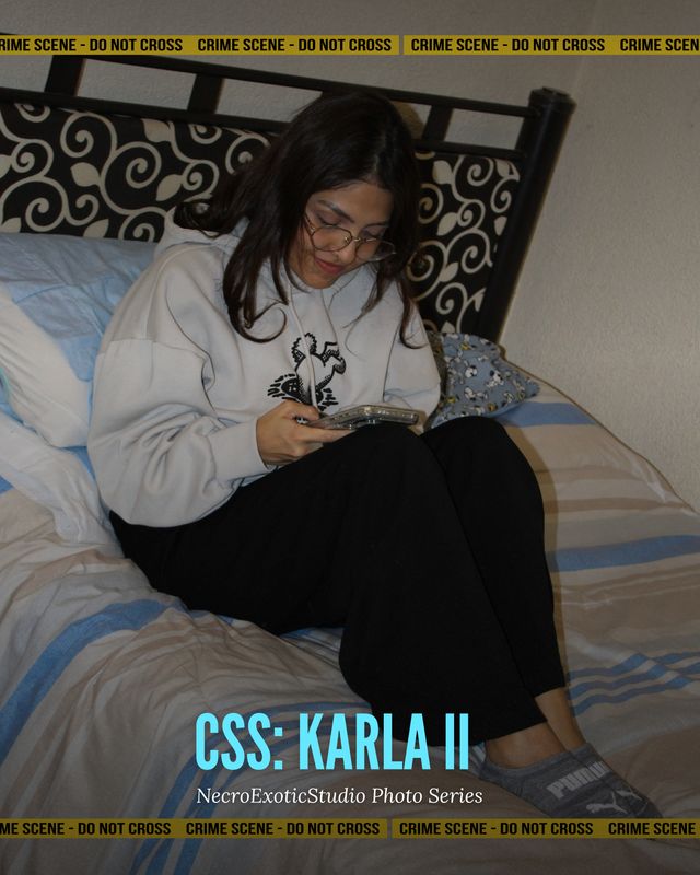 CSS: Karla II