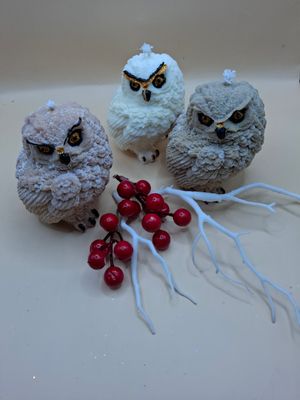 WW winterliche Eulen