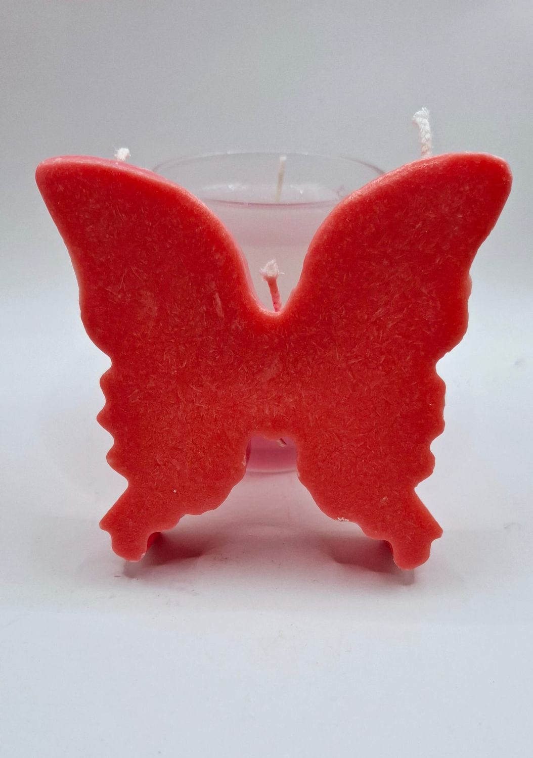 WSchmetterling