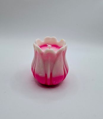 Blume Tulpe