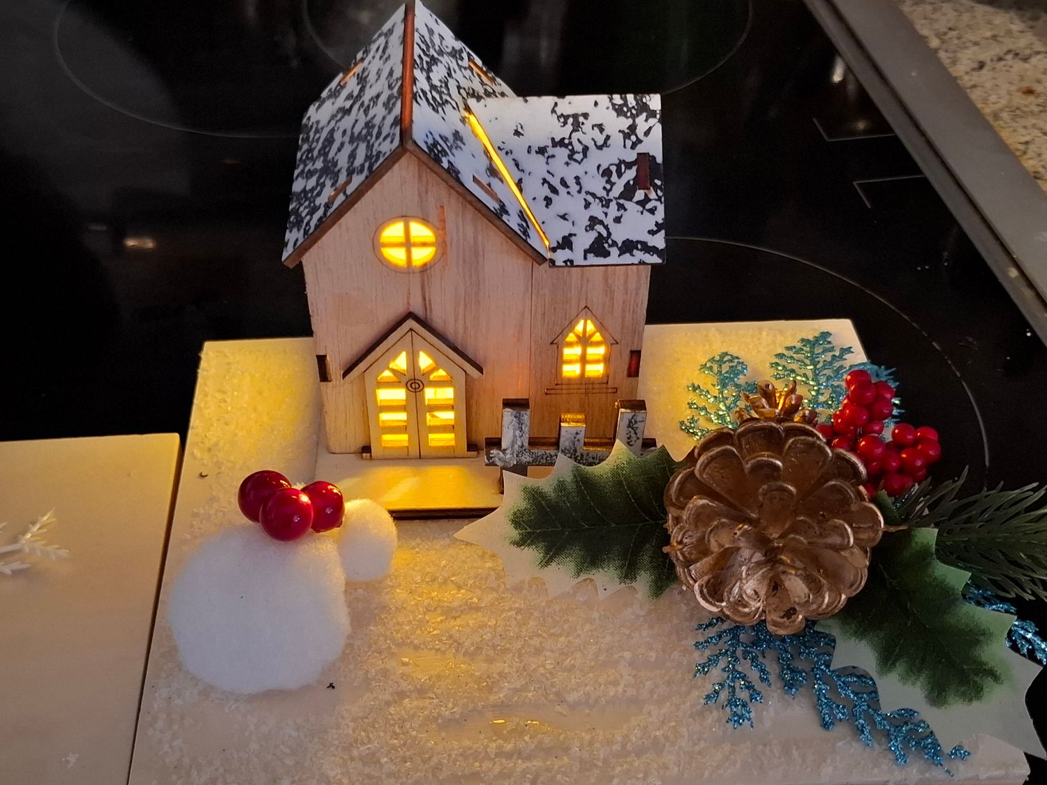 WEG /  Kleines Wintergesteck mit LED Licht