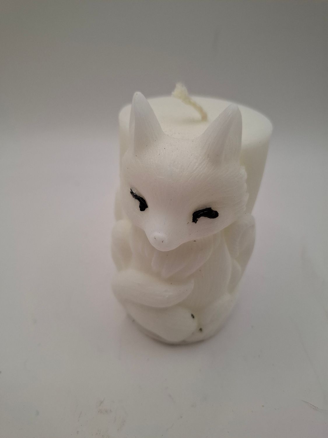 T / Wunderschöner Schneefuchs