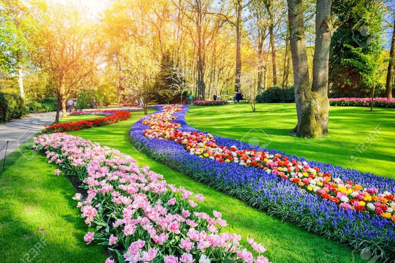 Unsere Fühlingskollektion