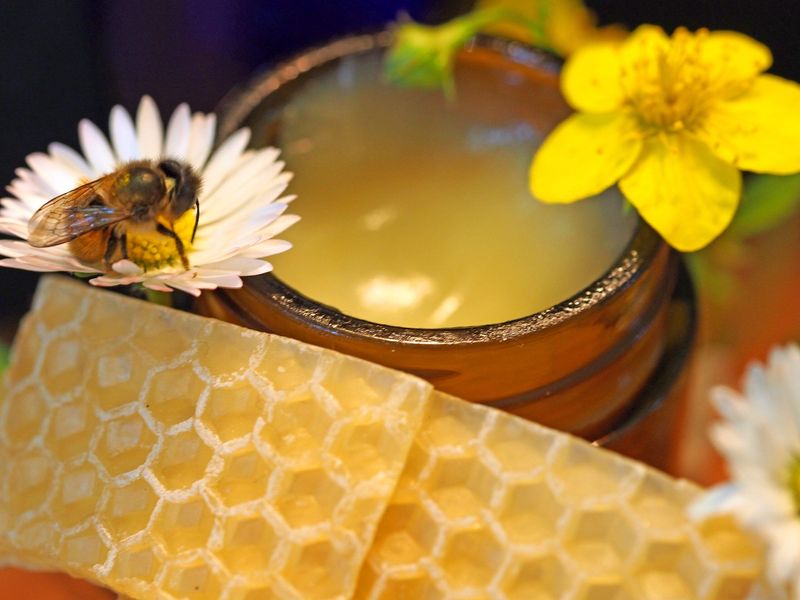 Kollektion aus Bienenwachs