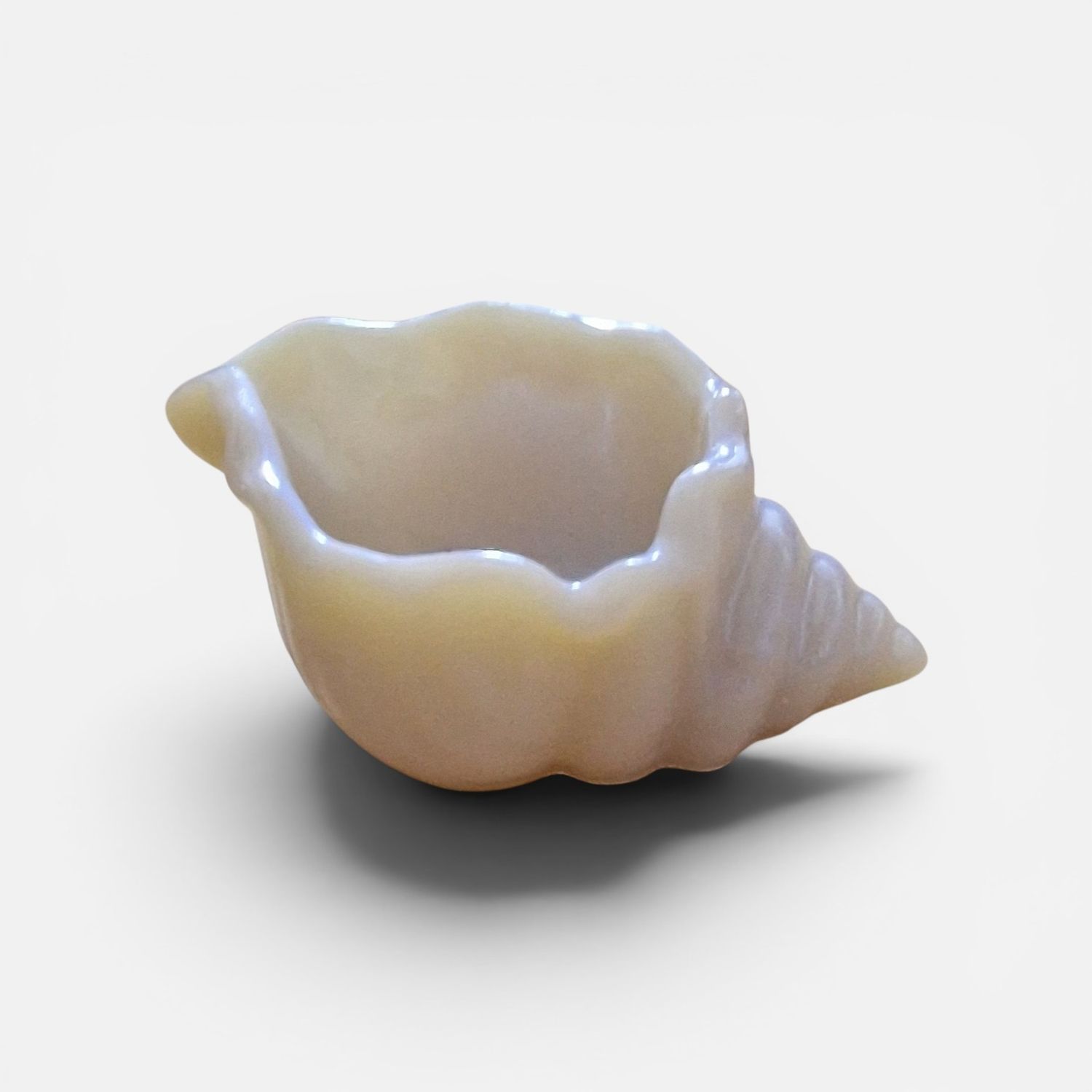 🐚💎  wunderschöne Mondmuschel aus Epoxidharz