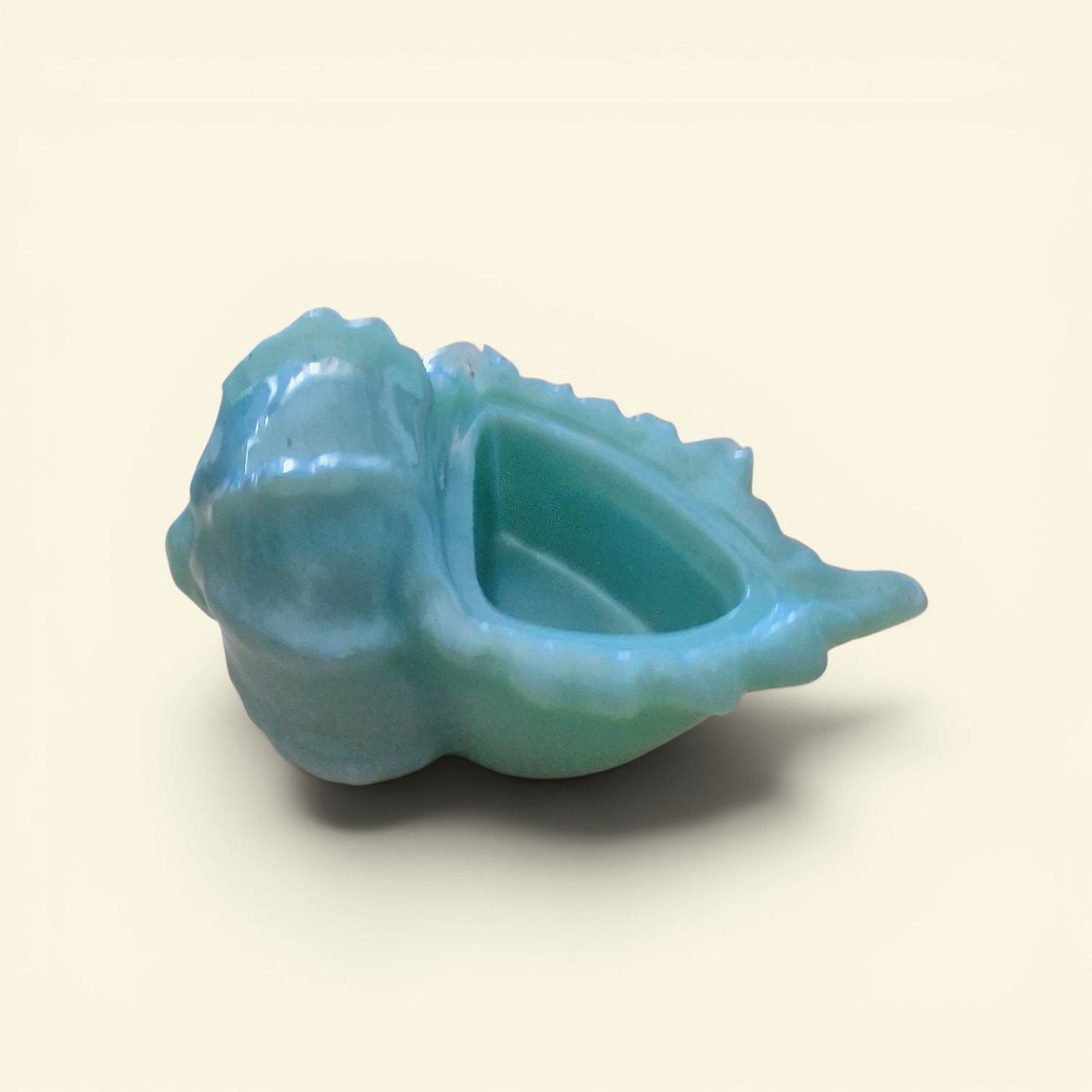 🐚 wunderschöne Muschel ( Knobbed Whelk ) aus Epoxidharz