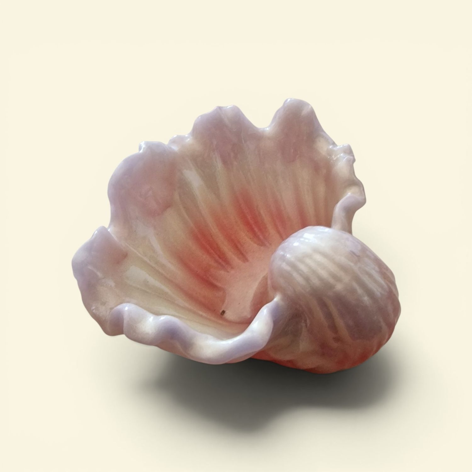 🕷️🐚 Seespinnenmuschel aus Epoxidharz