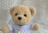 10 x 8  inch God Is Love White Teddy Bear Cute Stuffed Animals Soft