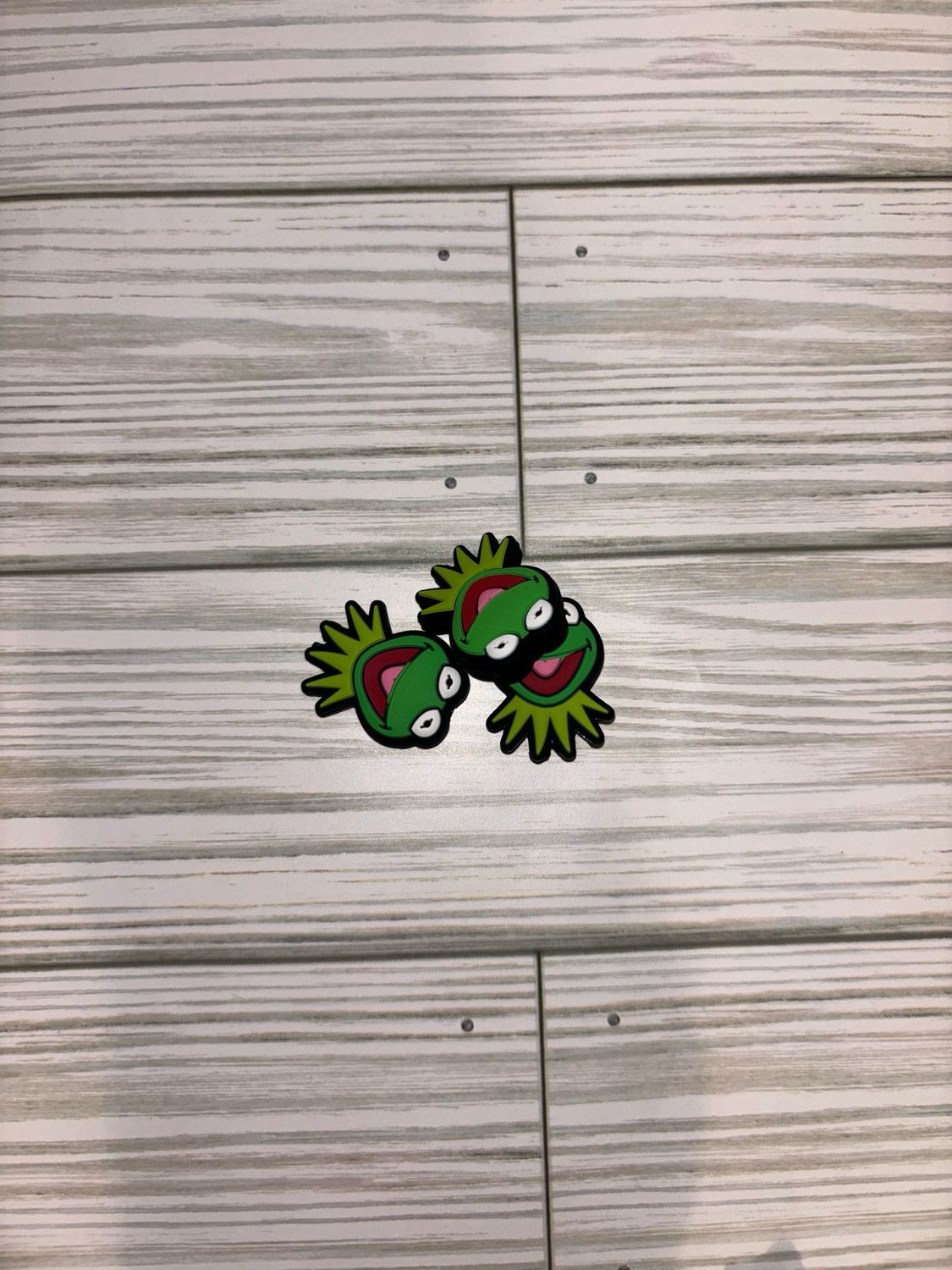 Frog Focal