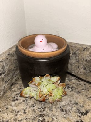 Wax Melts