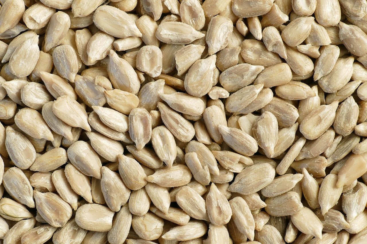 Sunflower Hearts