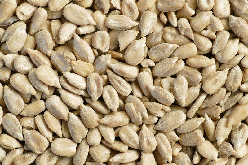 Sunflower Hearts
