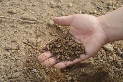 Soil + Manures