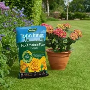 John Innes Composts