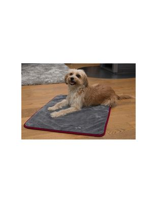 Honden droogdoek; Ruby, de beste en zachtste hondendeken en hondenhanddoek in zijn soort.