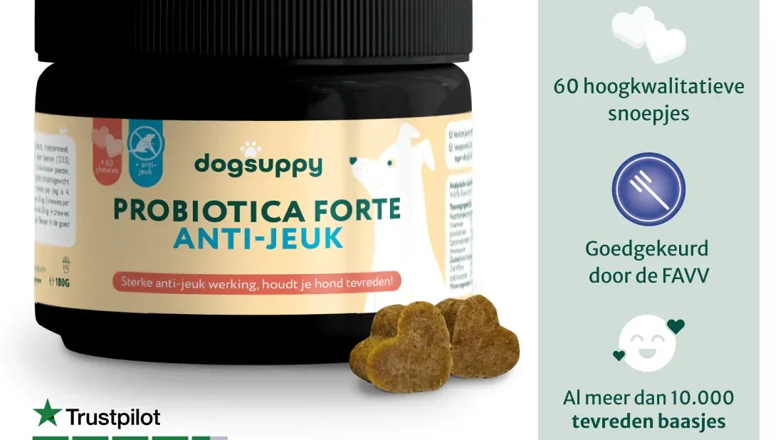 Anti-jeuk | Probiotica Forte  van DogSuppy 60 snoepjes