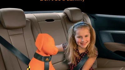 Auto hondengordel Trailstone™ Dog Seat Belt