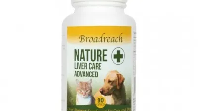 Broadreach Nature Liver Care capsules 90 st