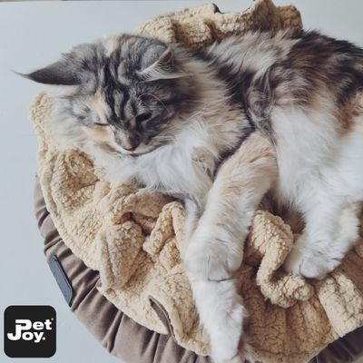 Pet-Joy Cozy kussen voor kleine honden en katten (2 kleuren leverbaar)