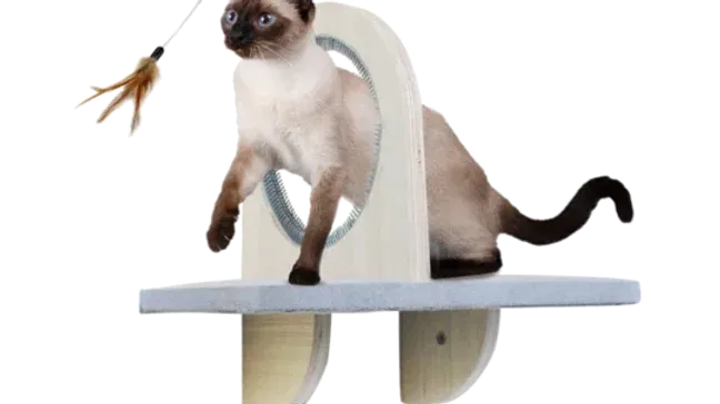 AFP Skywalk - Groom &amp; Play Platform