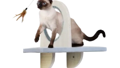 AFP Skywalk - Groom &amp; Play Platform