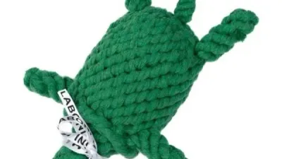 Tina Turtle Laboni
