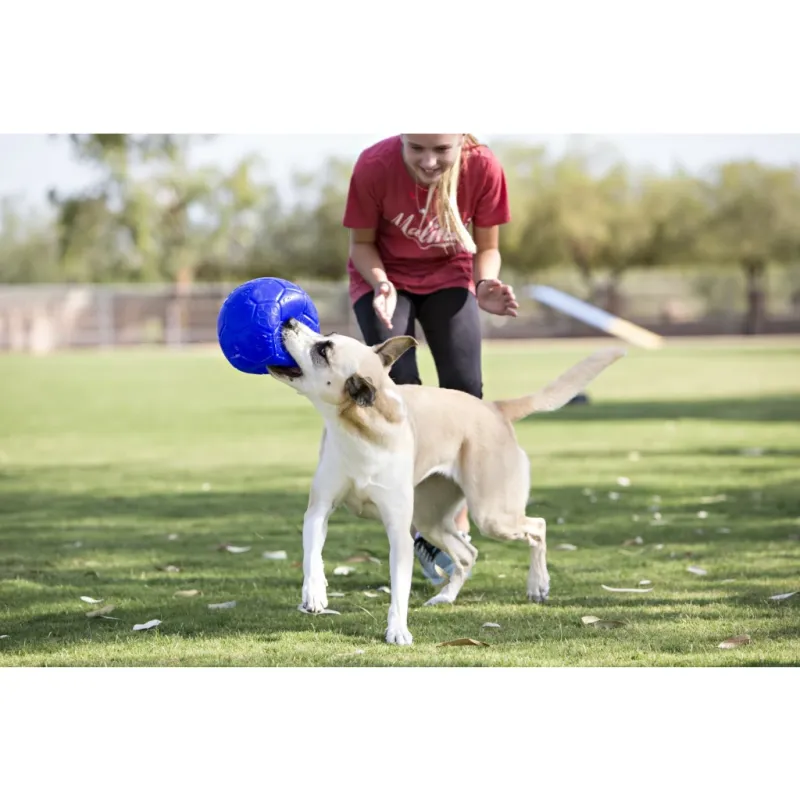 Jolly Soccer Ball