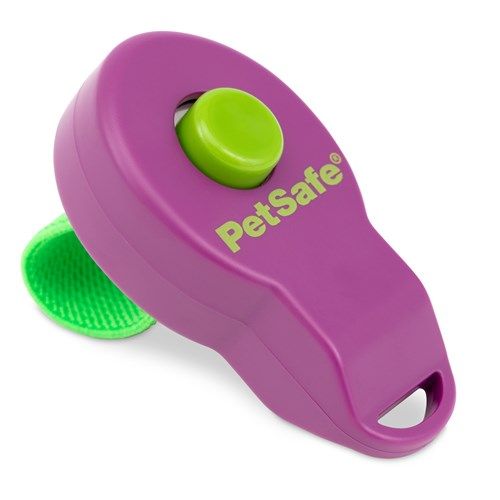 Clicker van Petsafe Clik-R Training Tool