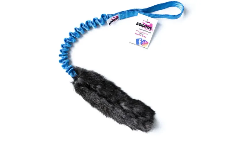Agilitoy Rabbitly