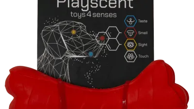 Speelbot van Jack and Vanilla (PLAYSCENT Bone)