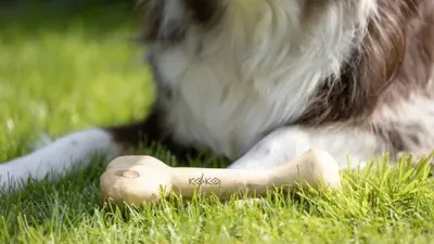 Koko Coffee Bones
