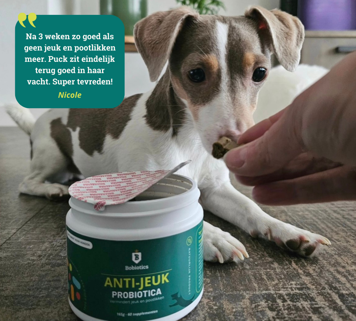 Probiotica Anti-Jeuk &amp;  Pootlikken / 100% natuurlijk