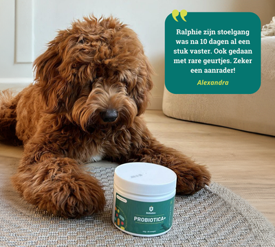 Probiotica Anti-Jeuk &amp;  Pootlikken / 100% natuurlijk