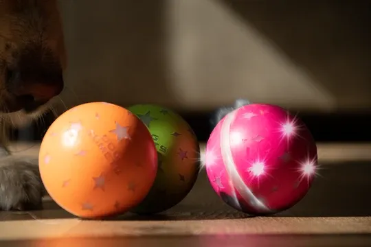 Interactieve Dog Comets speelbal, Helix Oranje, Roze of Groen