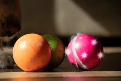 Interactieve Dog Comets speelbal, Helix Oranje, Roze of Groen