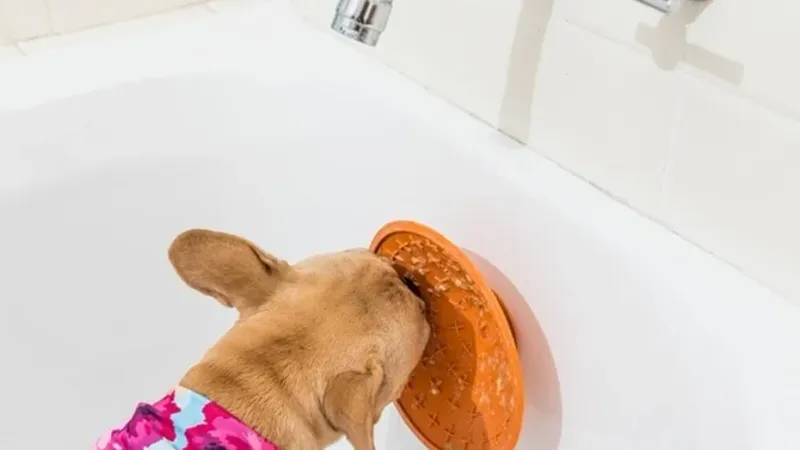 LickiMat Splash