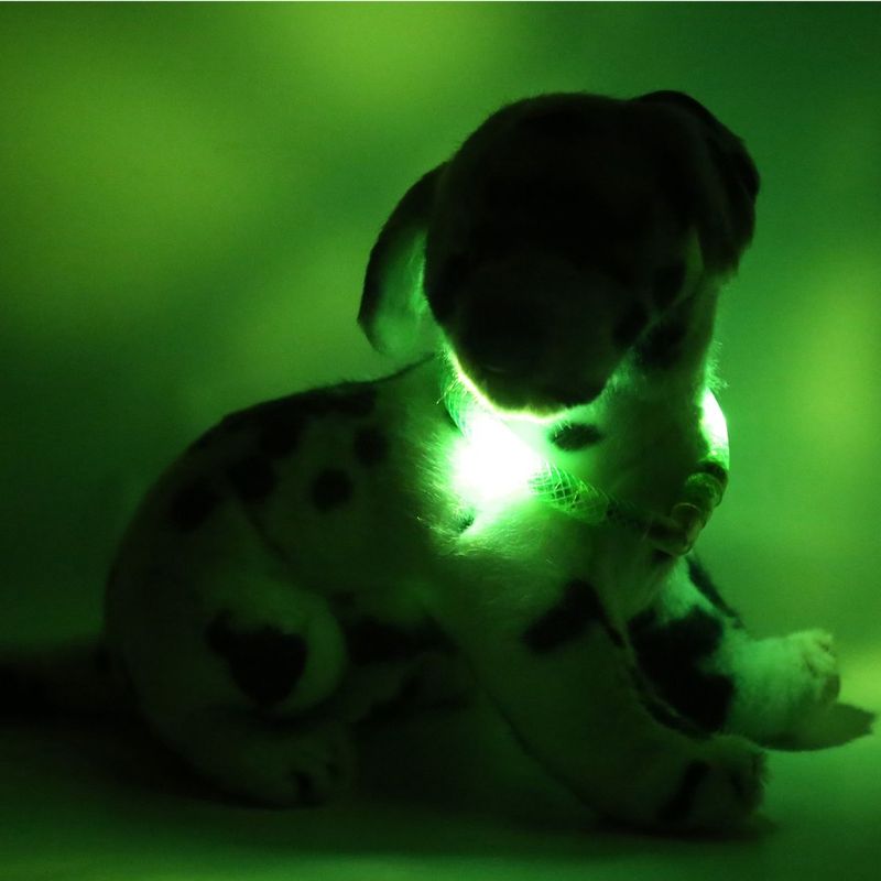 Lichtgevende halsband (easy plus) met energie zuinige led verlichting (usb oplaadbaar) en bewegings sensor - Leuchtie