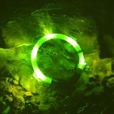 Lichtgevende halsband met energie zuinige led verlichting en bewegings sensor - Leuchtie