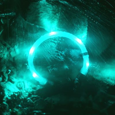 Lichtgevende halsband voor kleinere honden met energie zuinige led verlichting en bewegingsensor - Leuchtie